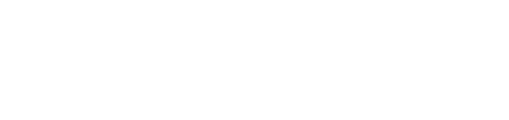 soulwp.com